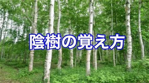 陰樹 種類|雑木林の遊歩道～植生【陽樹・陰樹・落葉樹・常緑樹・広葉樹・。